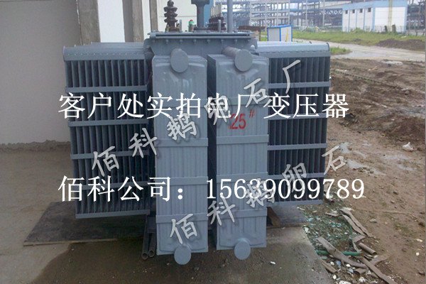 客戶(hù)想要購買(mǎi)齊全的水處理鵝卵石到哪里去？