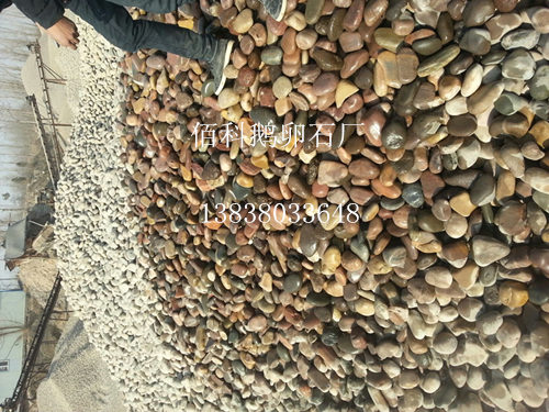 分撿現場(chǎng)